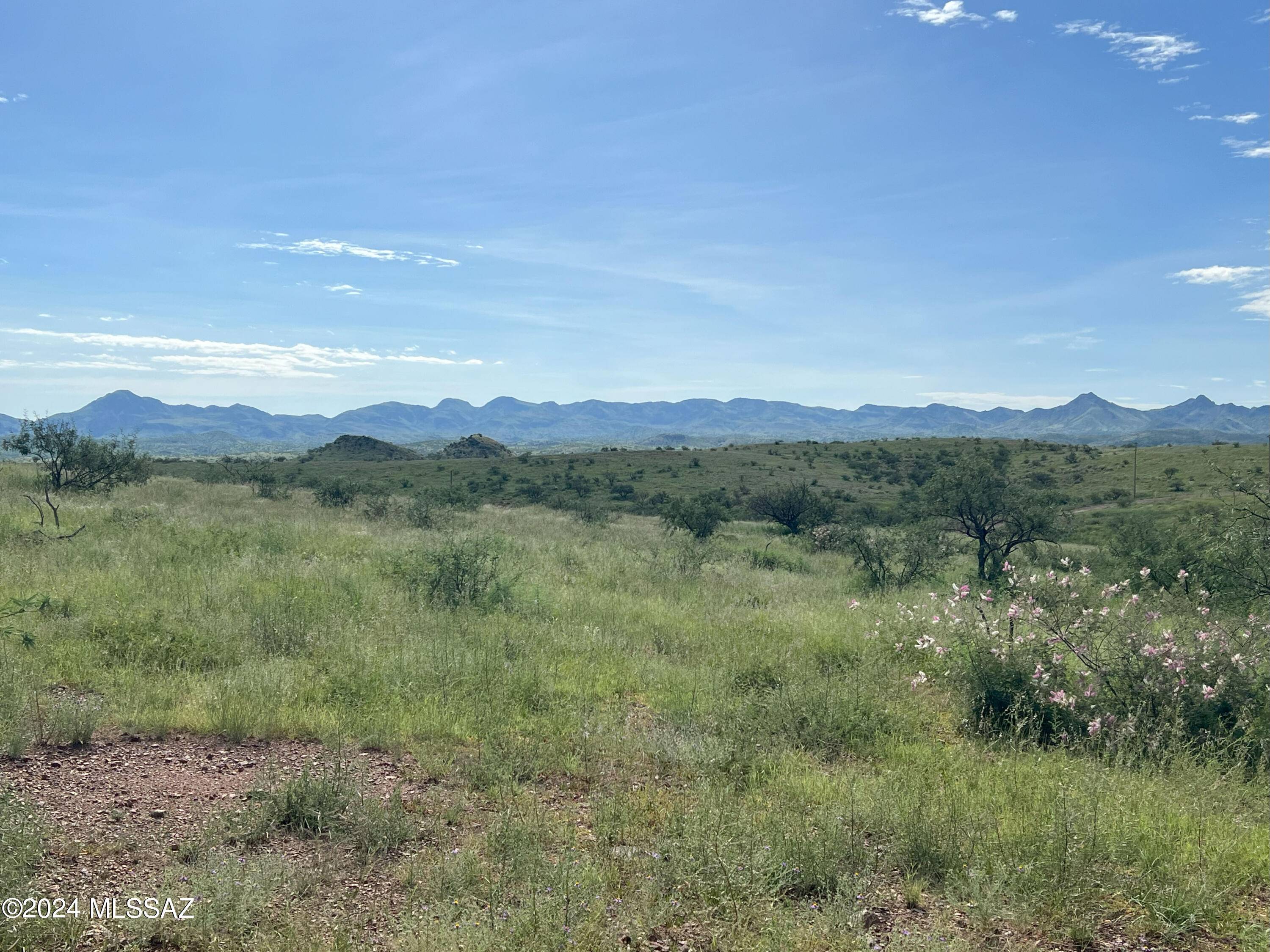 Arivaca, AZ 85601,13910 W Jalisco Road