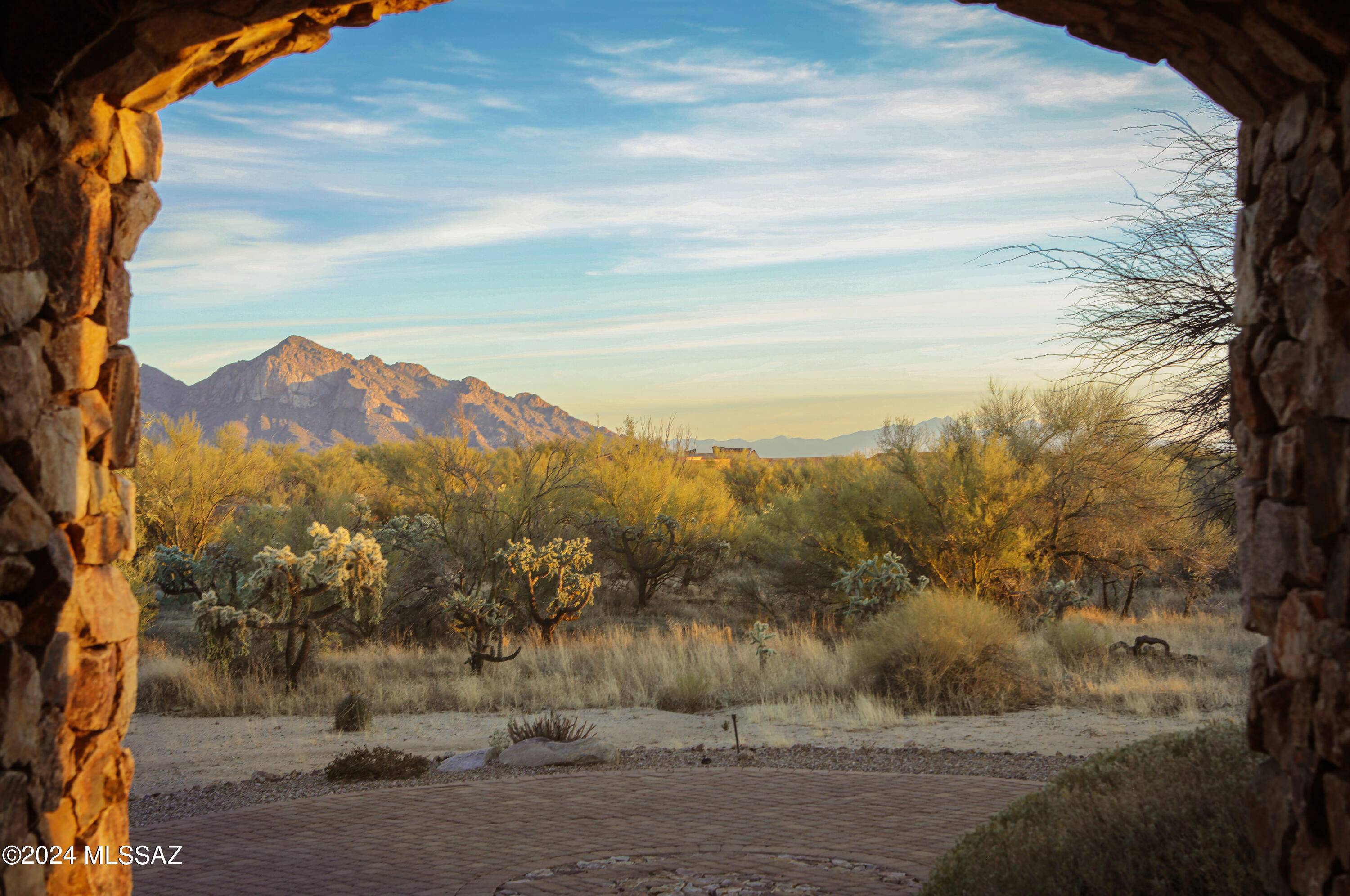 Oro Valley, AZ 85755,13951 N Old Forest Trail