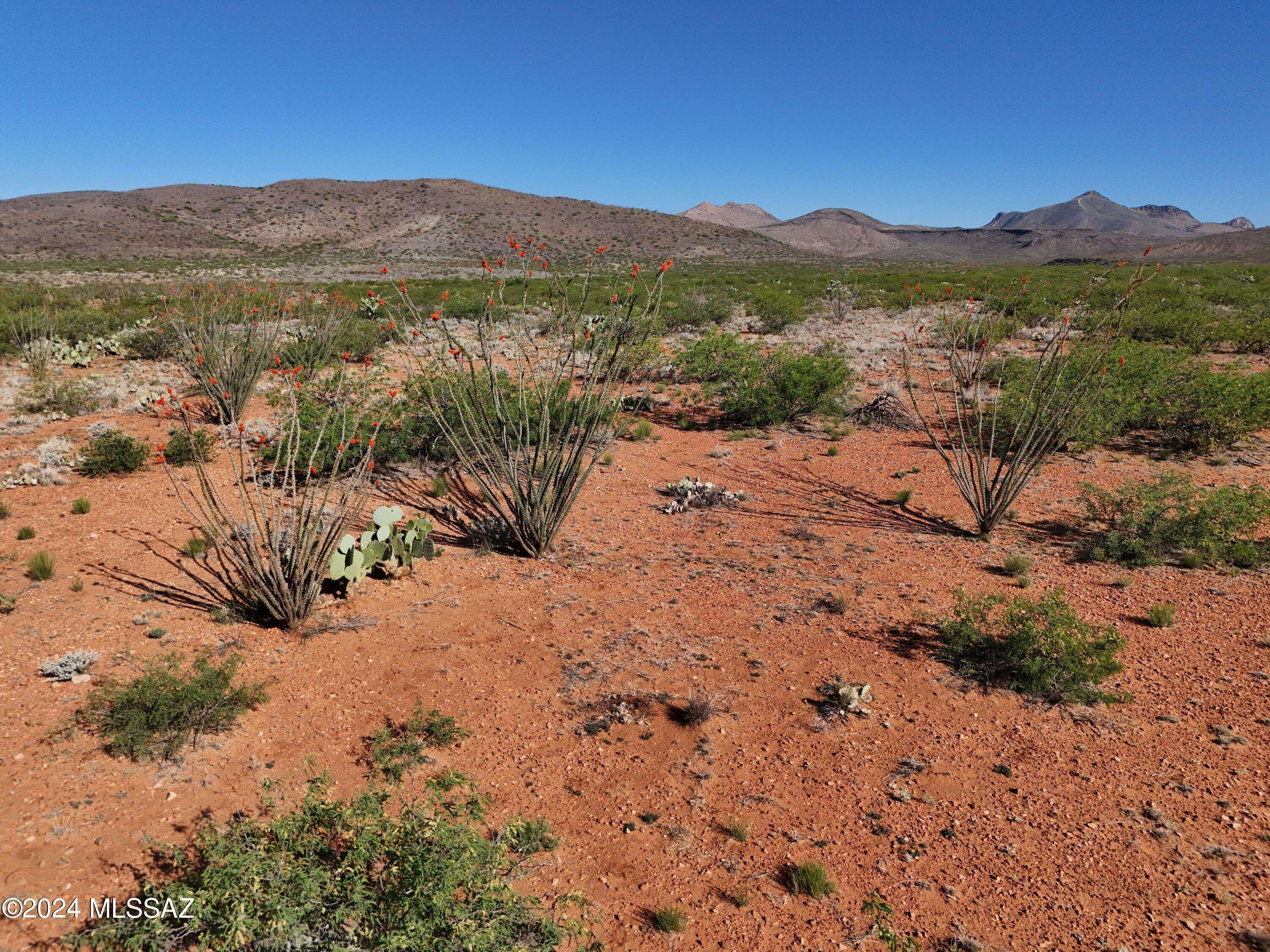 Douglas, AZ 85607,TBD SILVER CREEK RANCH RD