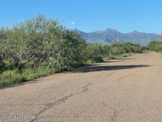 Rio Rico, AZ 85648,1785 Circulo Corona  #9