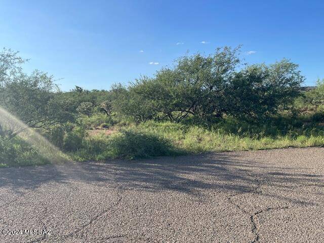 Rio Rico, AZ 85648,1785 Circulo Corona  #9