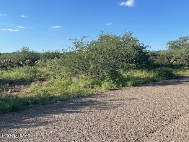 Rio Rico, AZ 85648,1785 Circulo Corona  #9