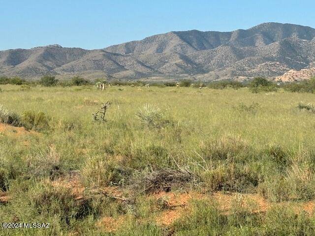 Pearce, AZ 85625,7 Lots E Quinn Road #.