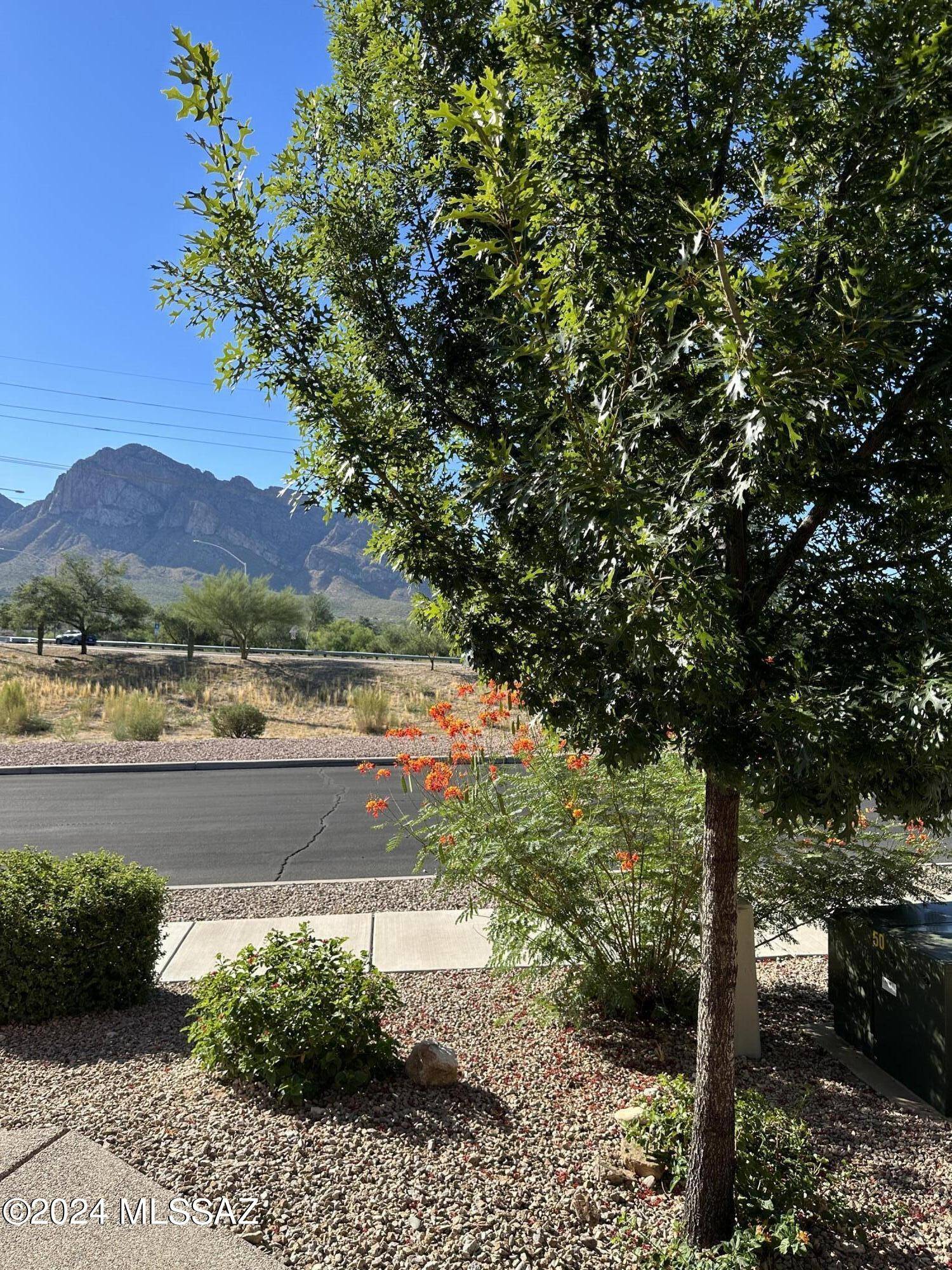 Oro Valley, AZ 85737,55 E Brearley Drive