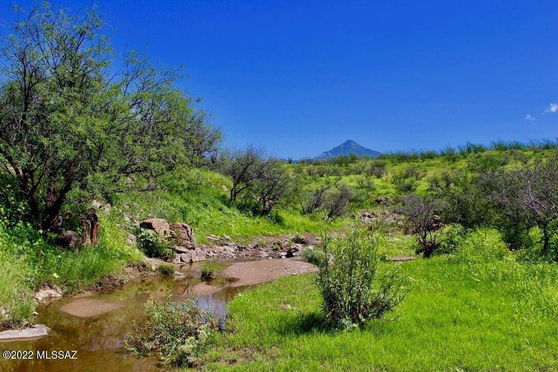 Rio Rico, AZ 85648,34 Muledeer Drive #110/3