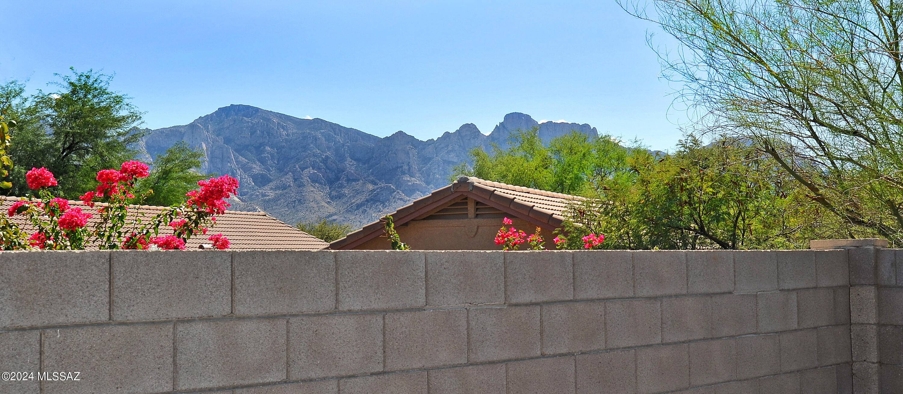 Oro Valley, AZ 85755,2566 E Steppe Court