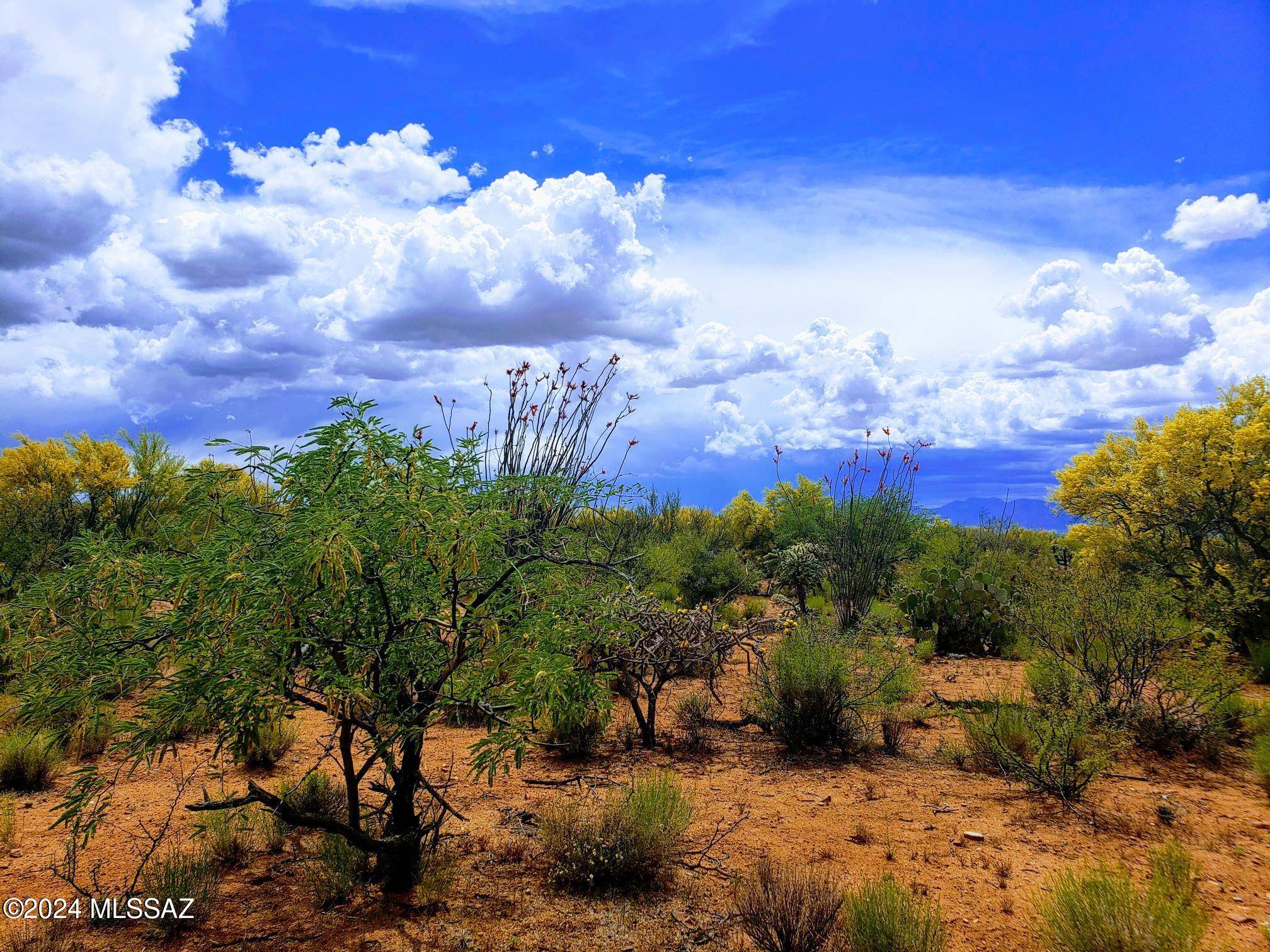 Tucson, AZ 85736,16408 Stoval Avenue