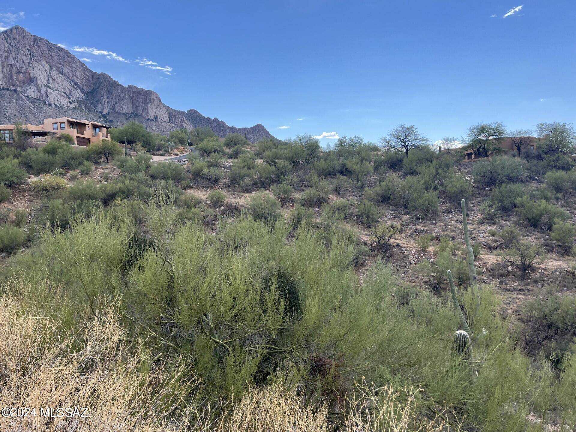 Oro Valley, AZ 85737,10241 N Cliff Dweller Place #-