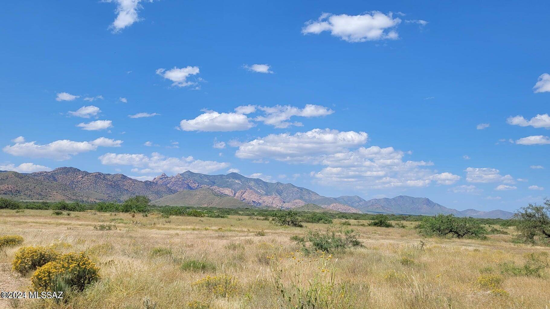 Cochise, AZ 85606,10 AC W Trigger Lane