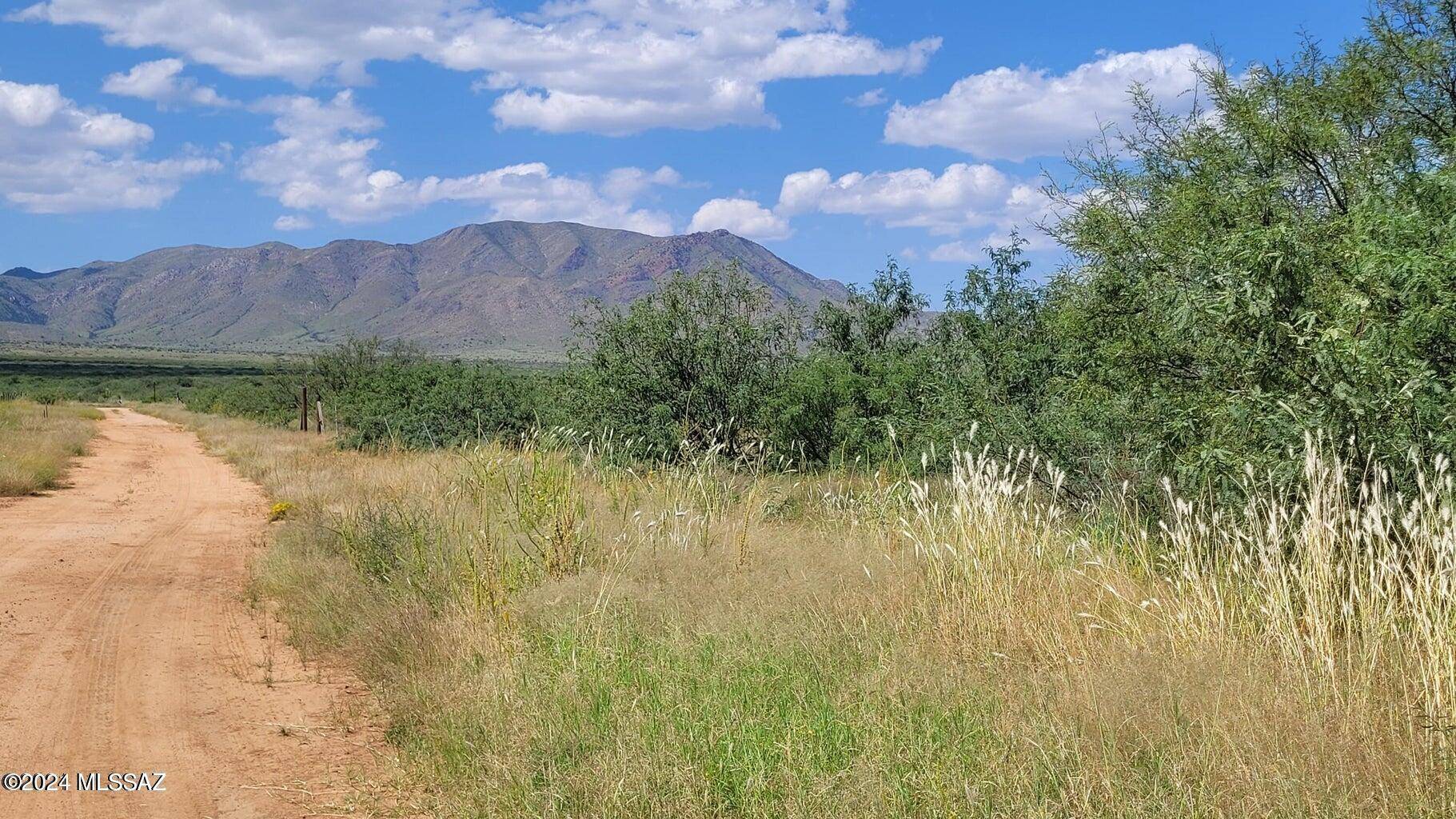 Cochise, AZ 85606,10 AC W Trigger Lane