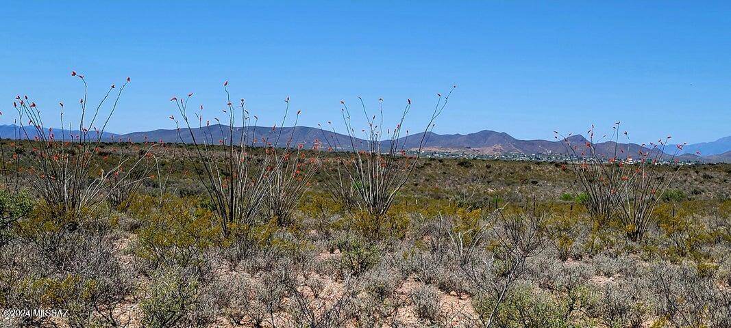 Tombstone, AZ 85638,TBD E Rainbow Road