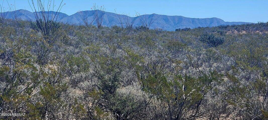 Tombstone, AZ 85638,TBD E Rainbow Road