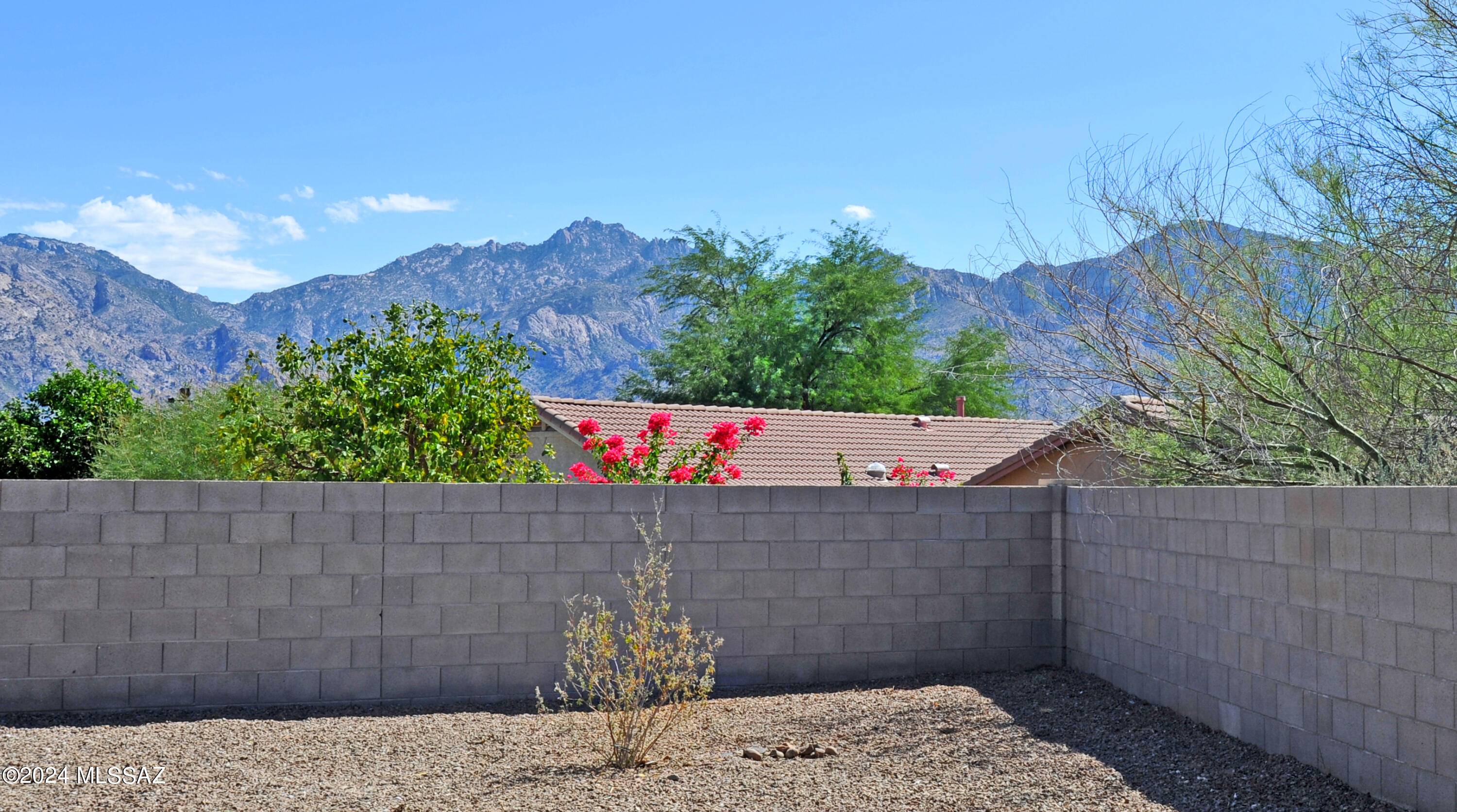 Oro Valley, AZ 85755,2566 E Steppe Court