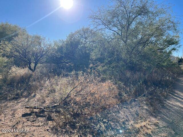 Benson, AZ 85602,TBD W Rice Road #513