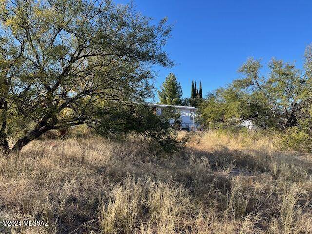 Benson, AZ 85602,TBD W Evani Avenue