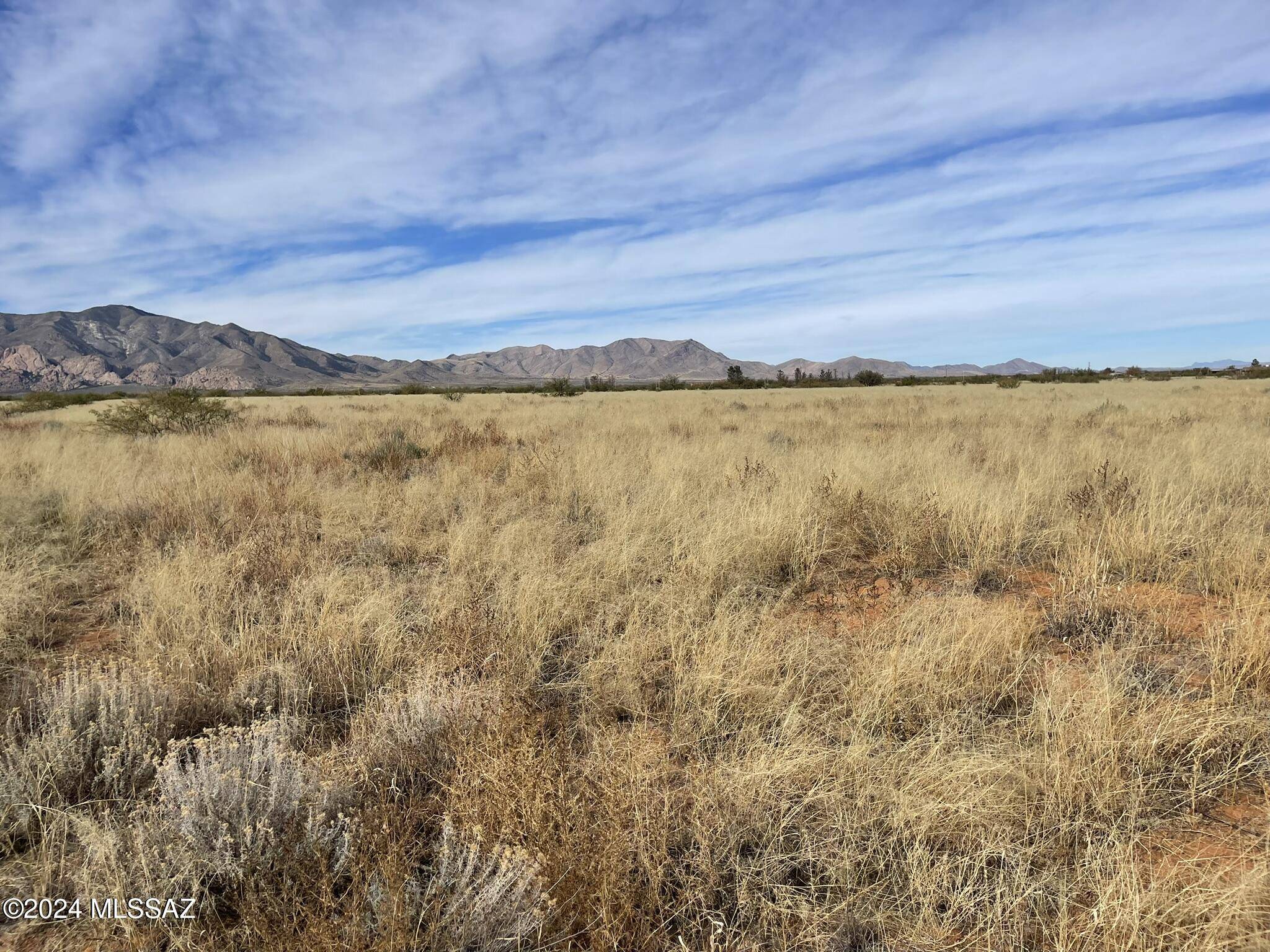 Pearce, AZ 85625,3.42 acres TBD CODY Street #370