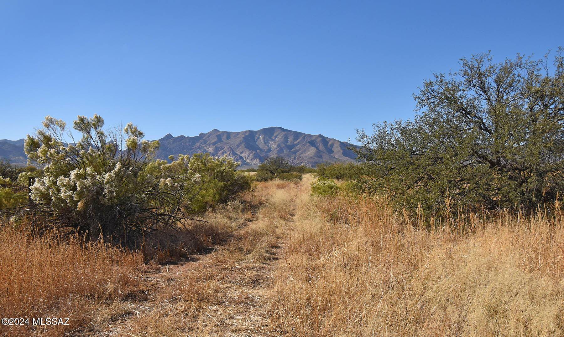 Cochise, AZ 85606,1 Lot N Willcox Road #16