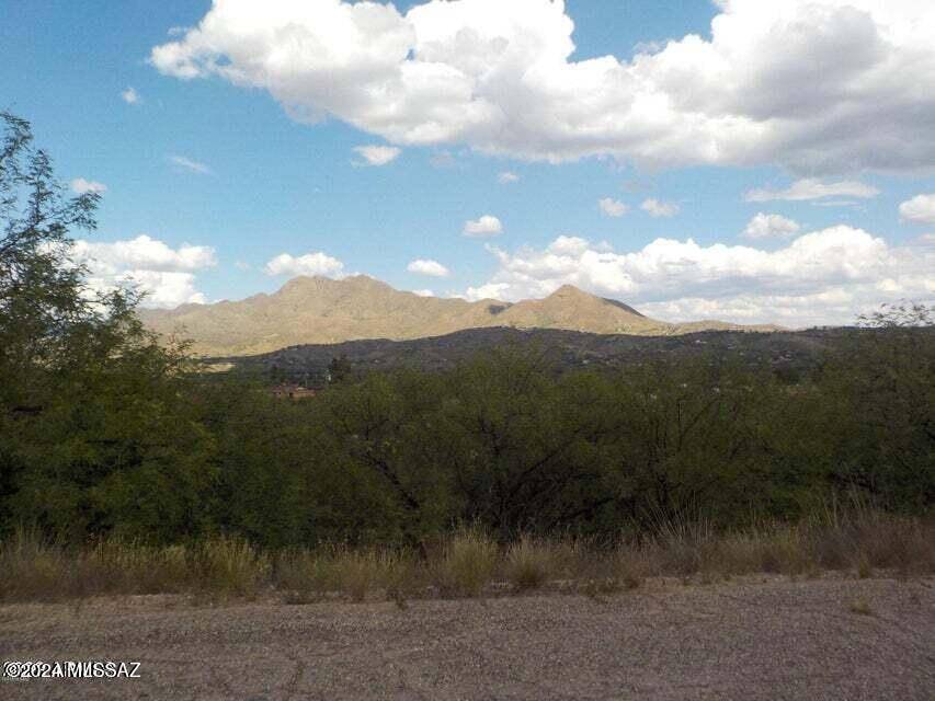 Rio Rico, AZ 85648,1217 Circulo Yerba Buena  #12