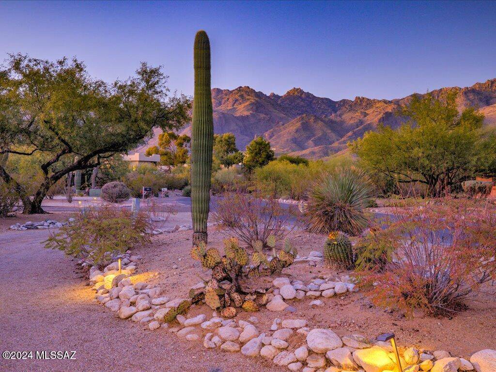 Tucson, AZ 85750,8234 E Big Horn Trail