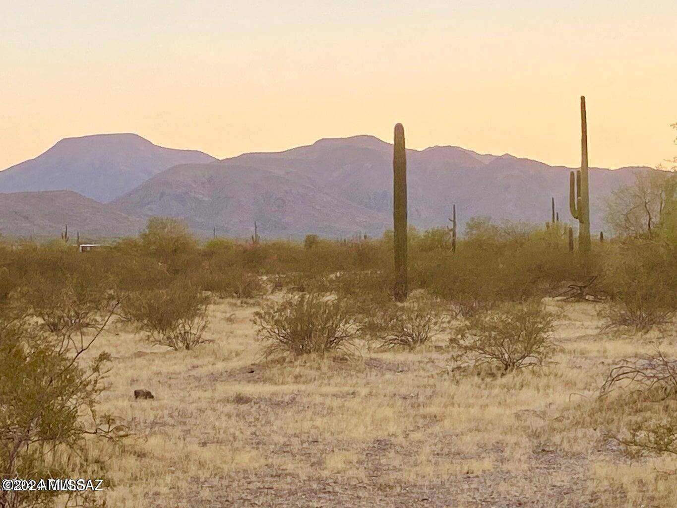 Maricopa, AZ 85139,TBD Liebre Rd 8.7 Acres