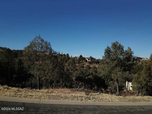 Prescott, AZ 86303,318 Fox Hollow Circle #292