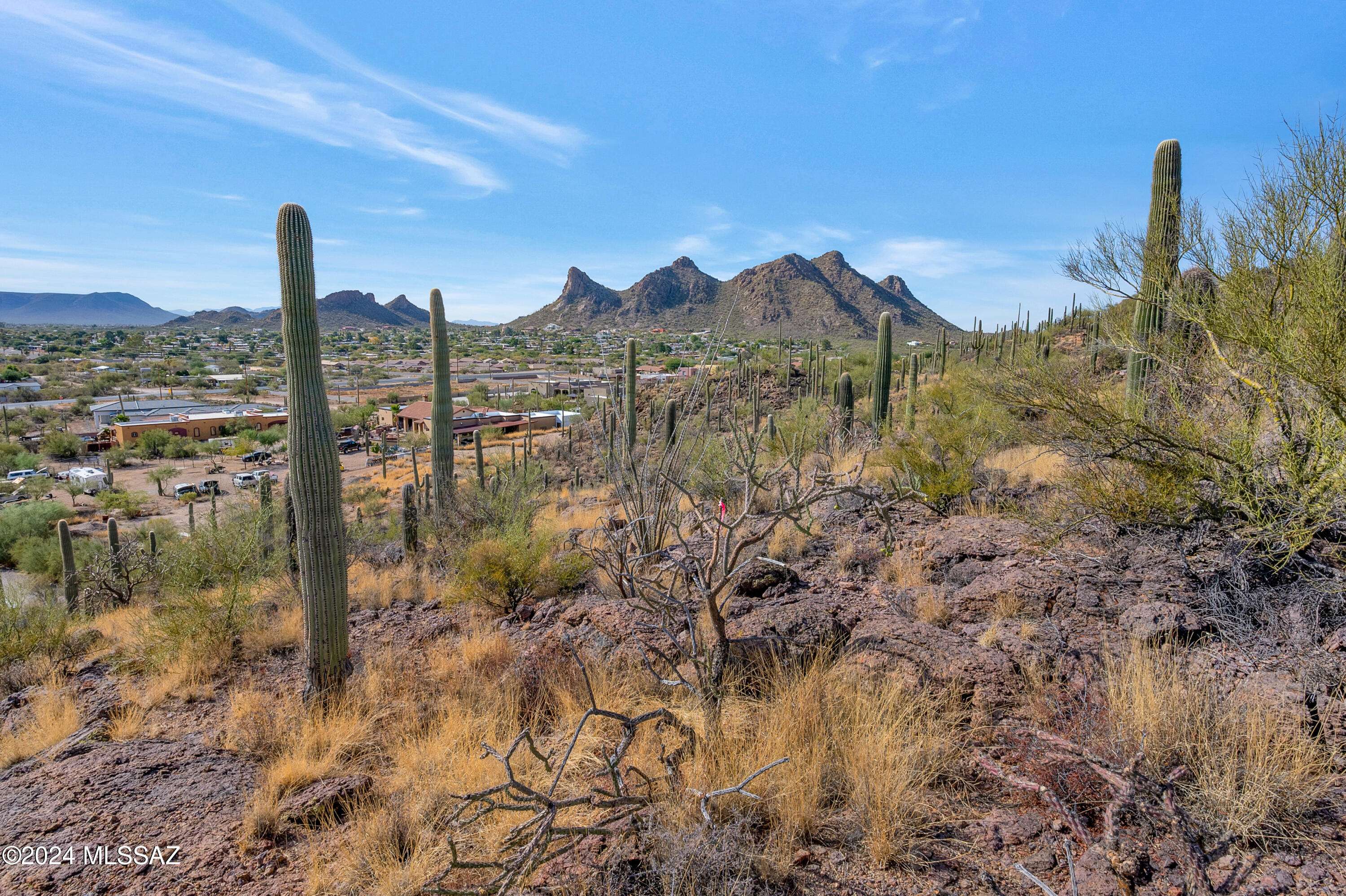 Tucson, AZ 85746,4896 S Cactus Wren Avenue