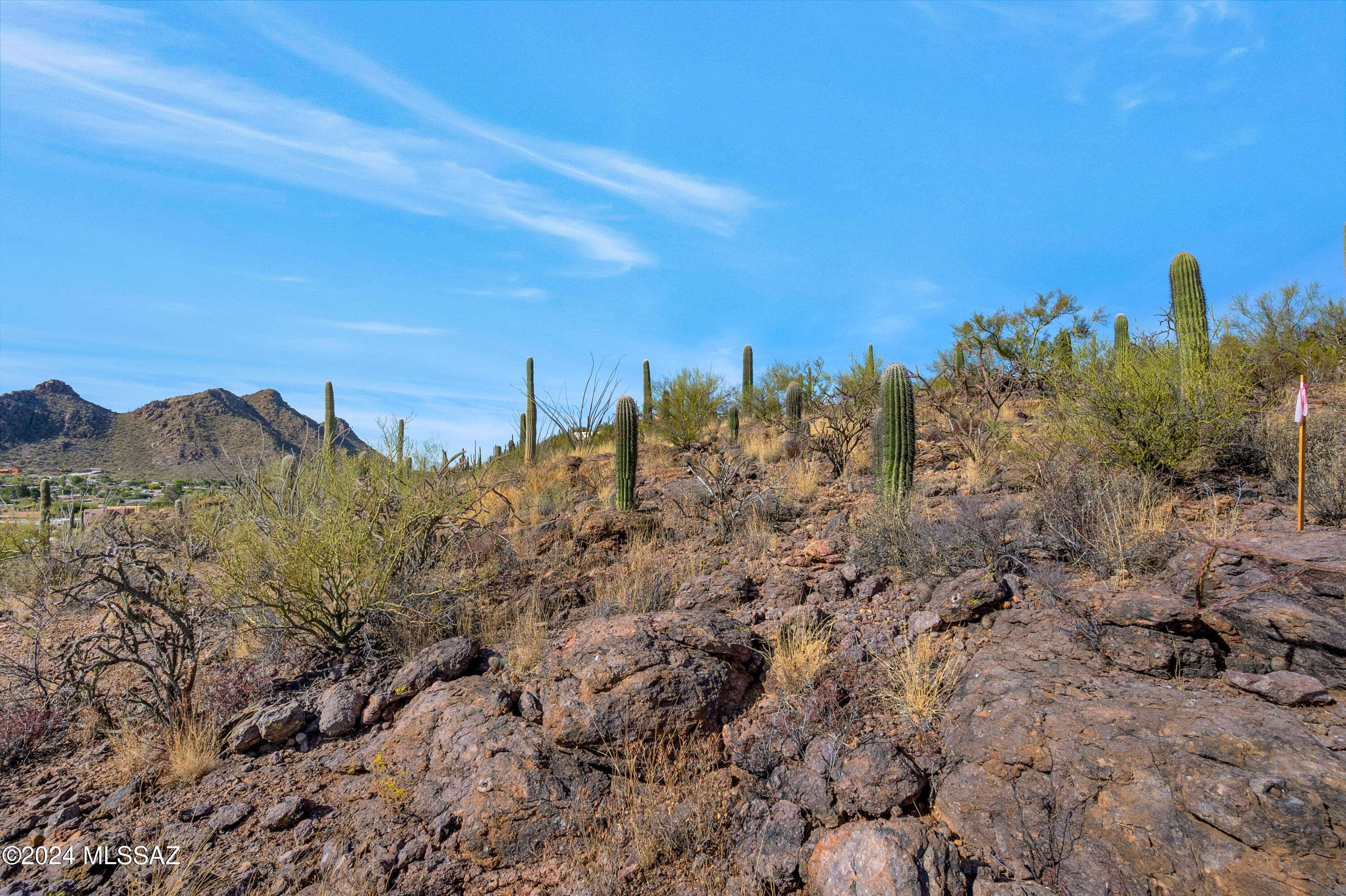 Tucson, AZ 85746,4896 S Cactus Wren Avenue