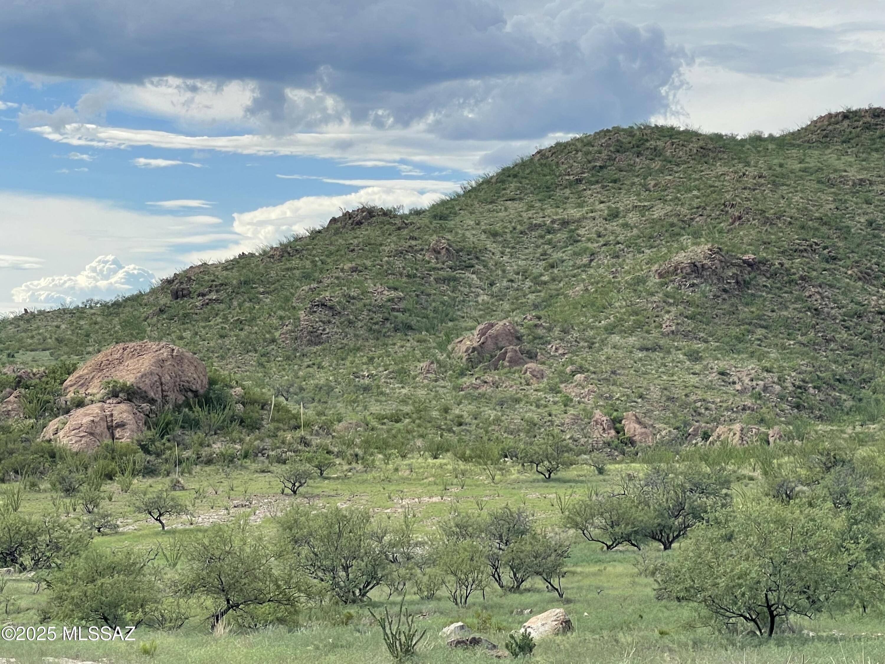 Tubac, AZ 85646,000 Shadow Crest Court #82