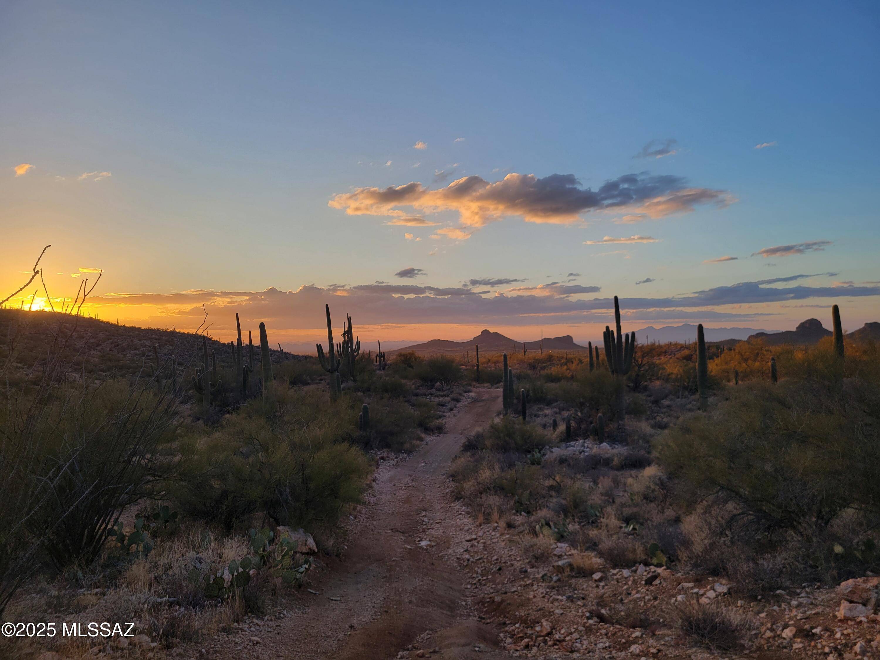 Marana, AZ 85658,TBD S McQueen Ranch Rd