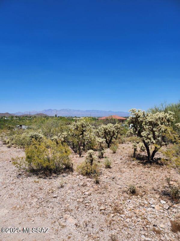 Tucson, AZ 85746,3220 W Pincushion Lane