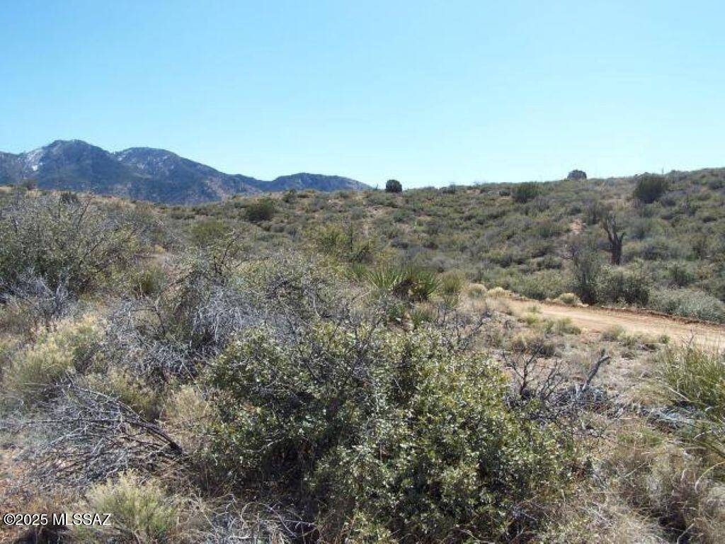 Willcox, AZ 85643,36.58ac W Four Feathers Loop #69