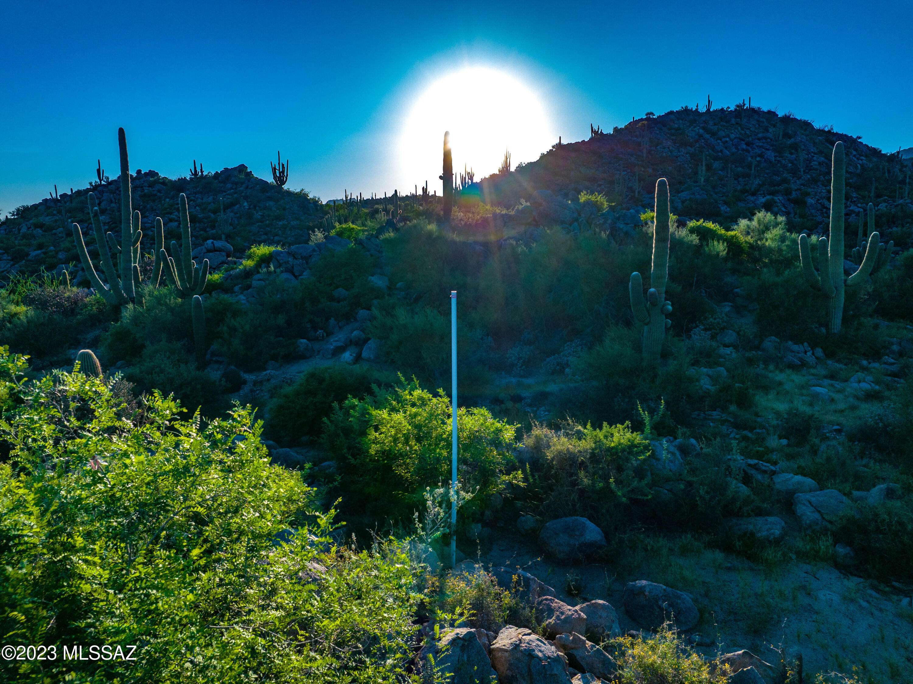 Tucson, AZ 85755,14992 N Slippery Ridge N Loop #412