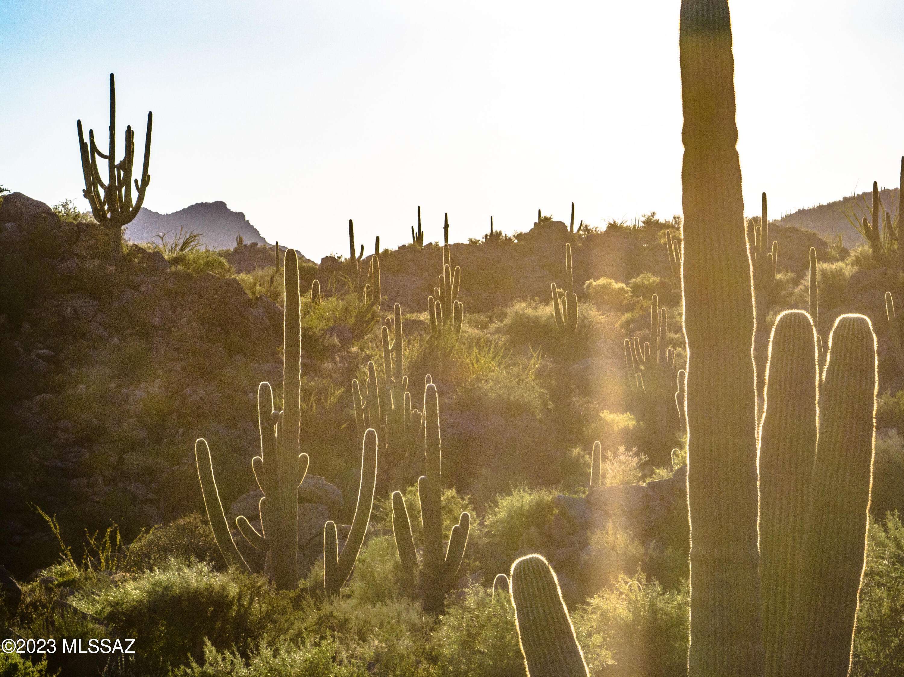 Tucson, AZ 85755,14980 N Slippery Ridge N Loop #414