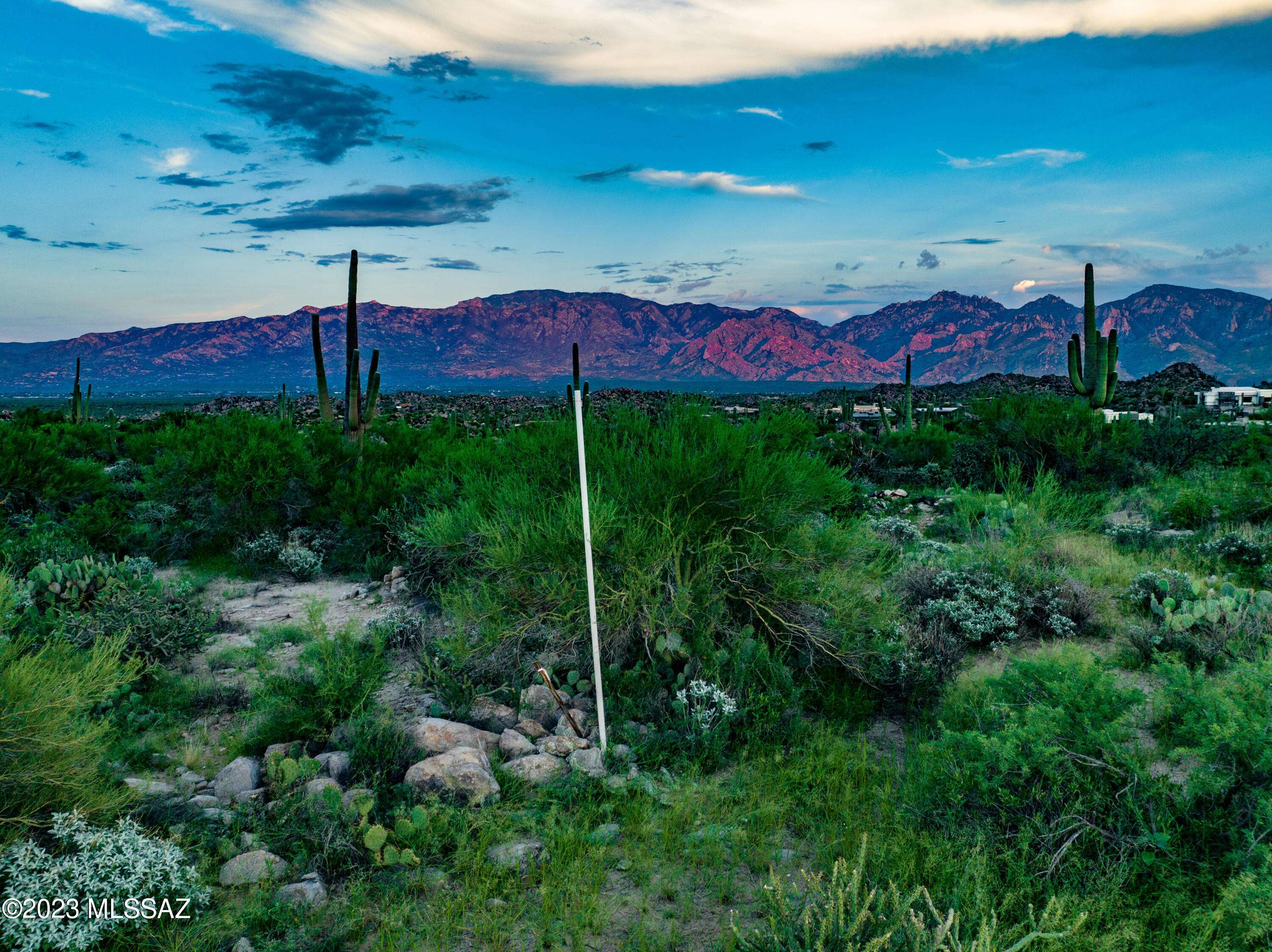 Tucson, AZ 85755,14959 N Slippery Ridge N Loop #477