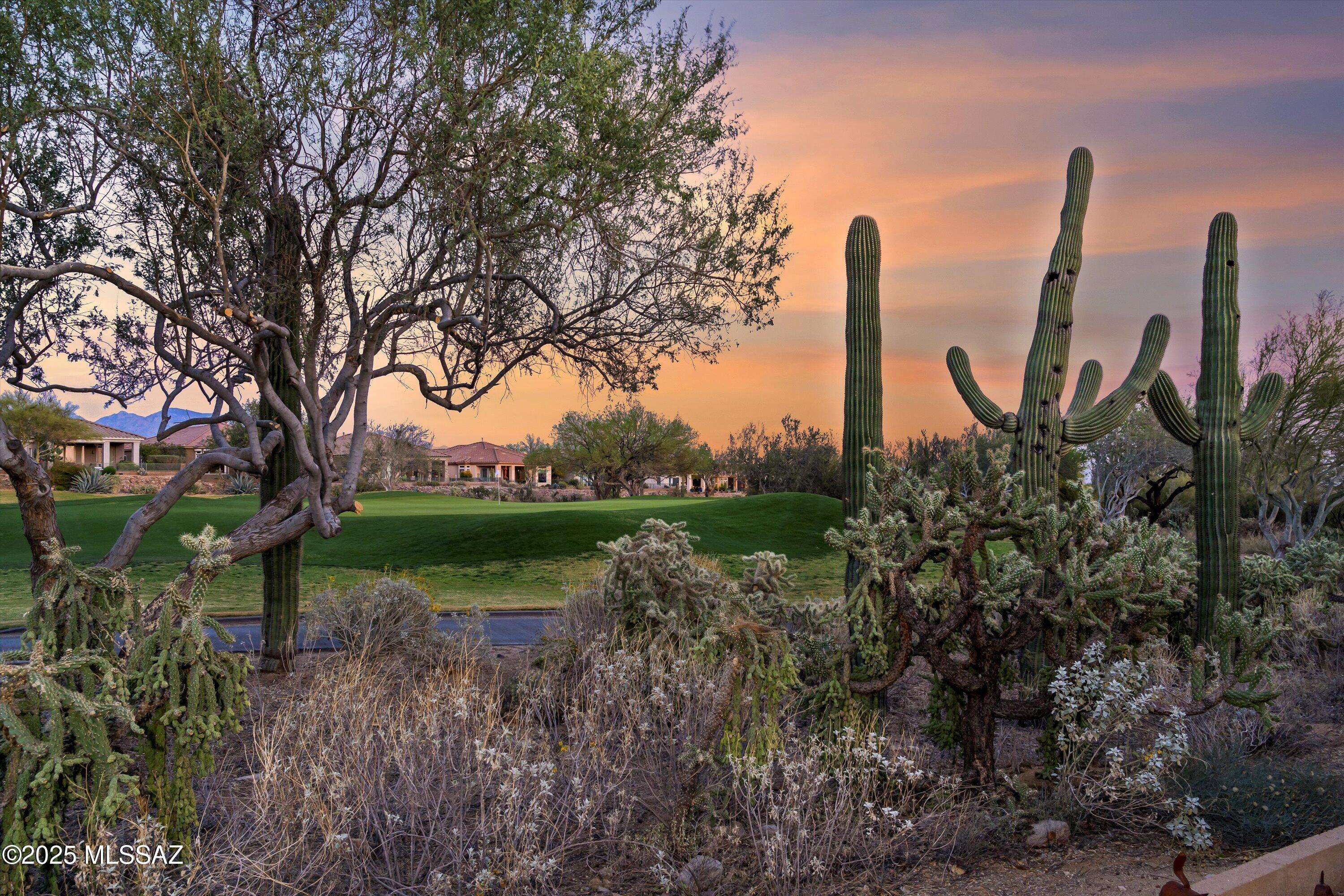 Marana, AZ 85658,5436 W Winding Desert Drive