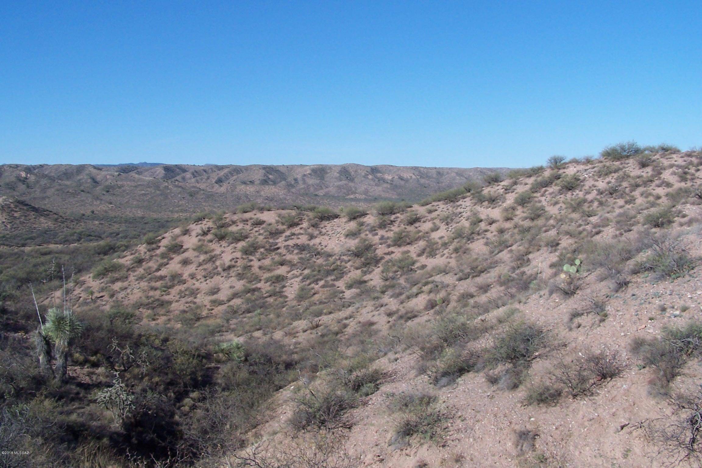 Willcox, AZ 85643,42.43ac Pronghorn Ridge Road #204