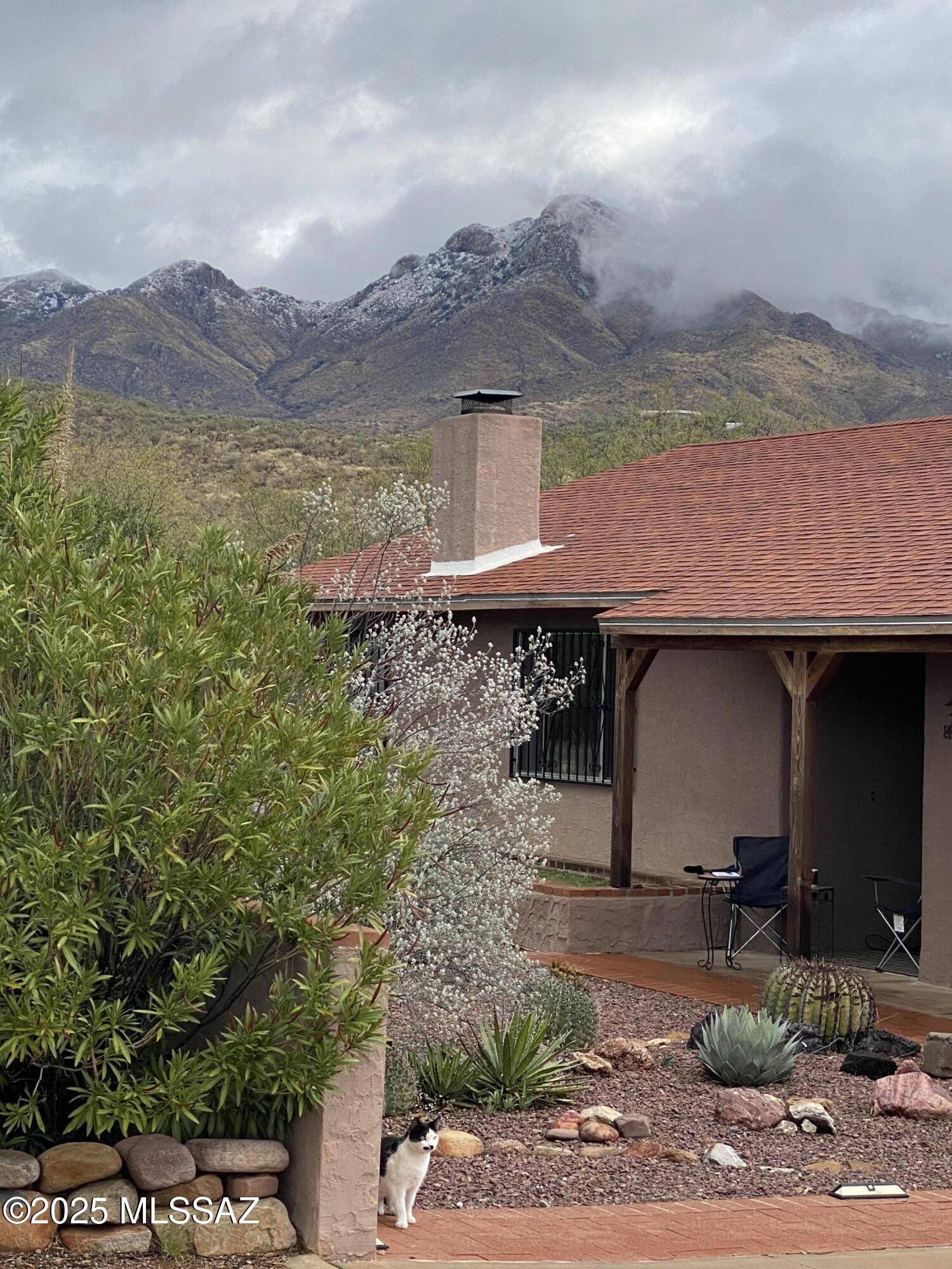 Rio Rico, AZ 85648,143 Avenida Ostion