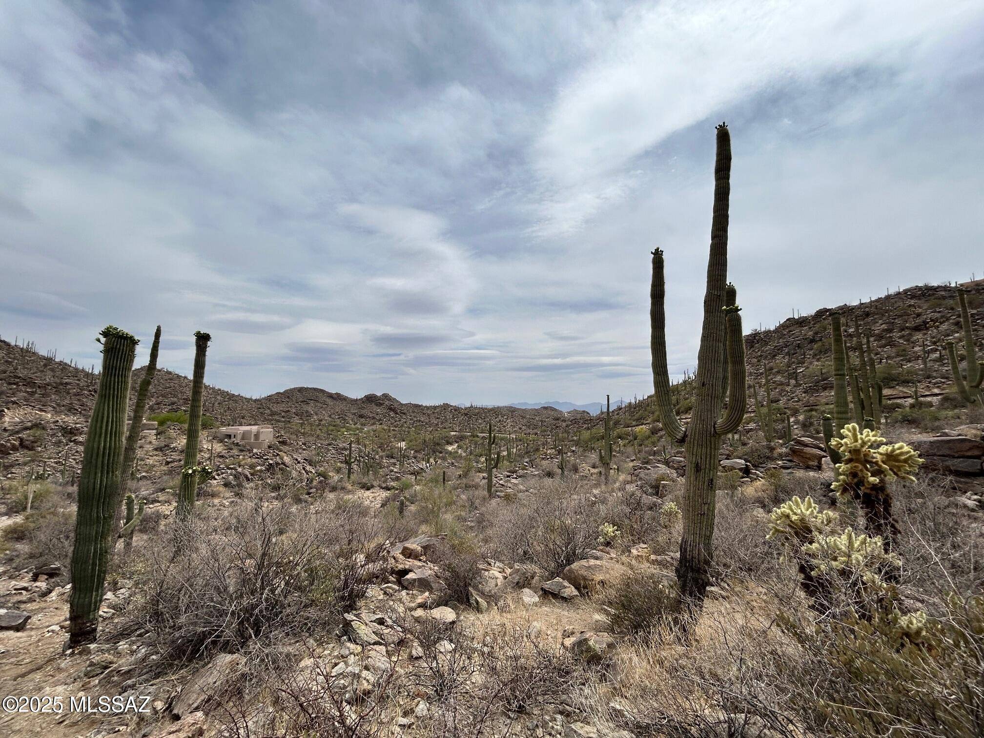 Tucson, AZ 85755,3517 Old Saguaro Ranch W Road #38
