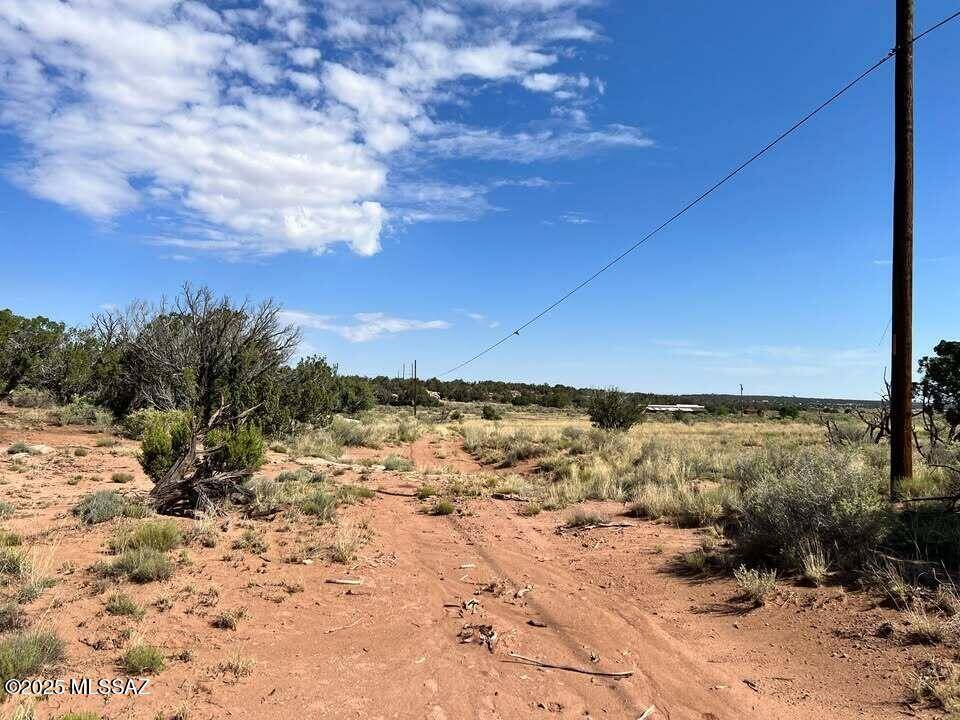 Snowflake, AZ 85937,Nutt Lane
