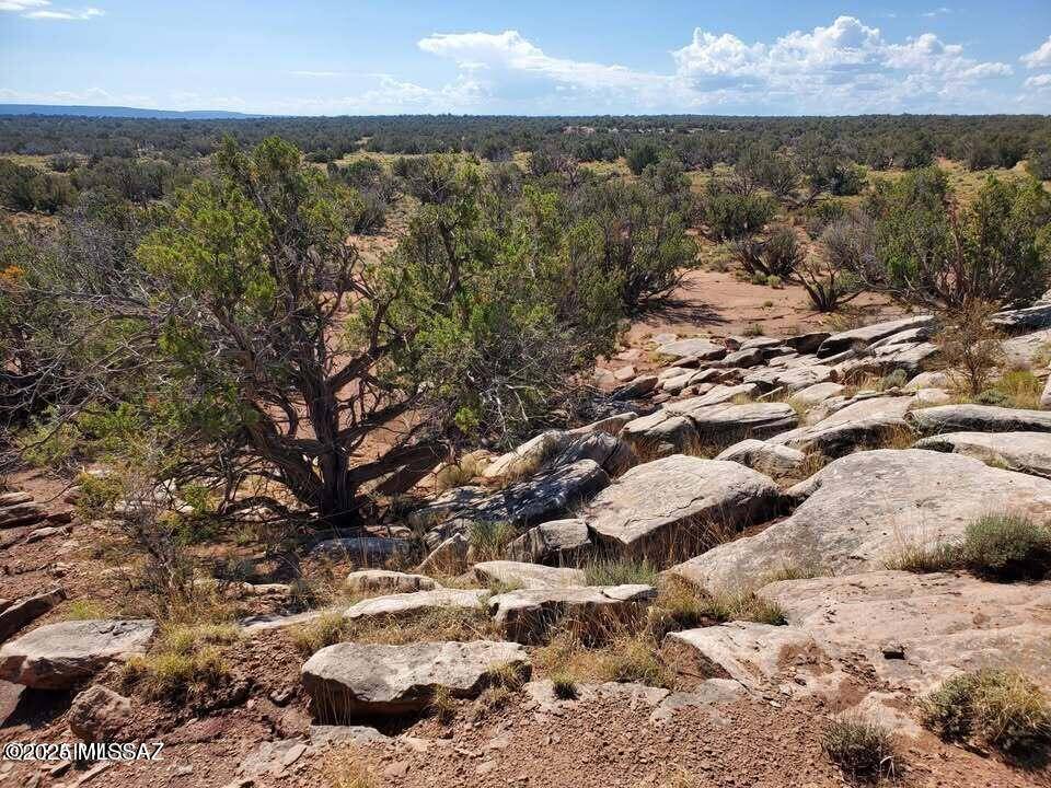 Snowflake, AZ 85937,Nutt Lane