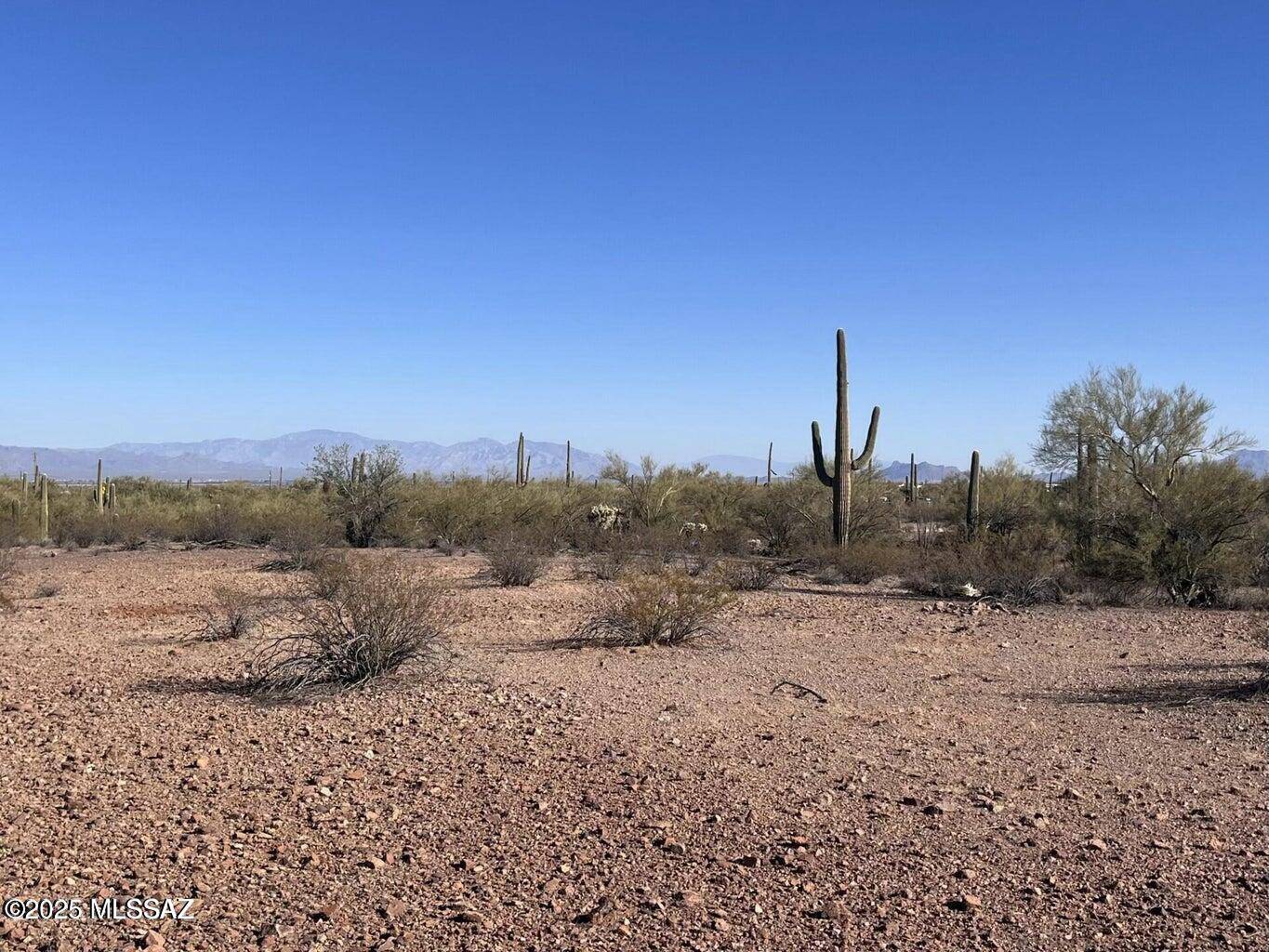 Marana, AZ 85653,21241 W Silverbell Road