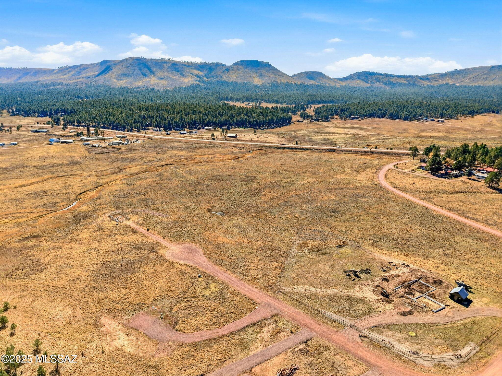 Alpine, AZ 85920,Lot 25 The Ranch at Alpine  #25