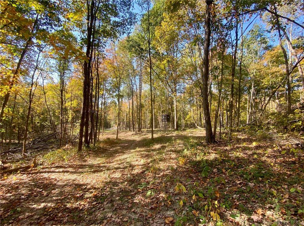 Seaman, OH 45679,387 Lynn Morgan Road