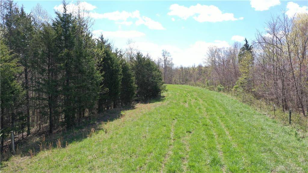 West Union, OH 45693,122ac Pumpkin Ridge Road
