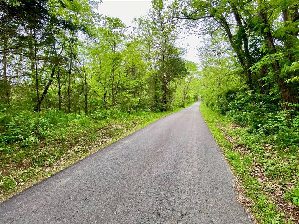 Winchester, OH 45697,12 ac Patton Road