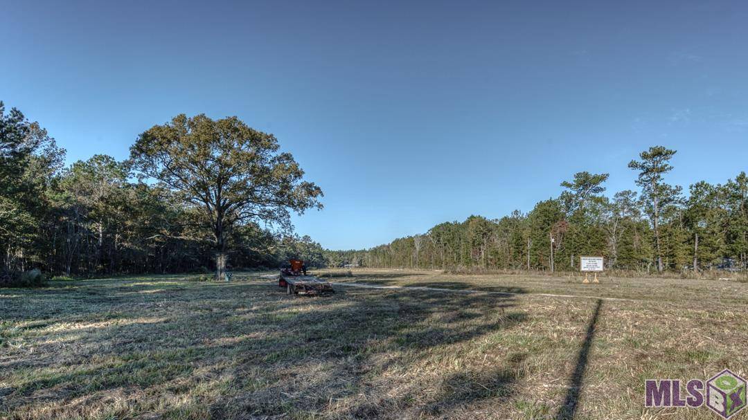 Walker, LA 70785,Lot 5 WEISS RD