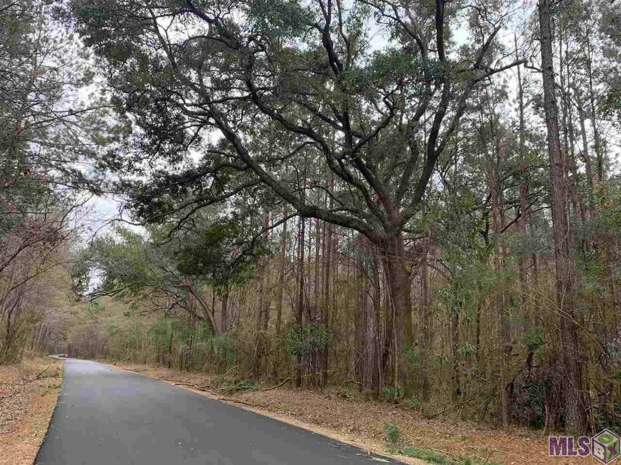 Denham Springs, LA 70706,Lot 36 NESOM RD