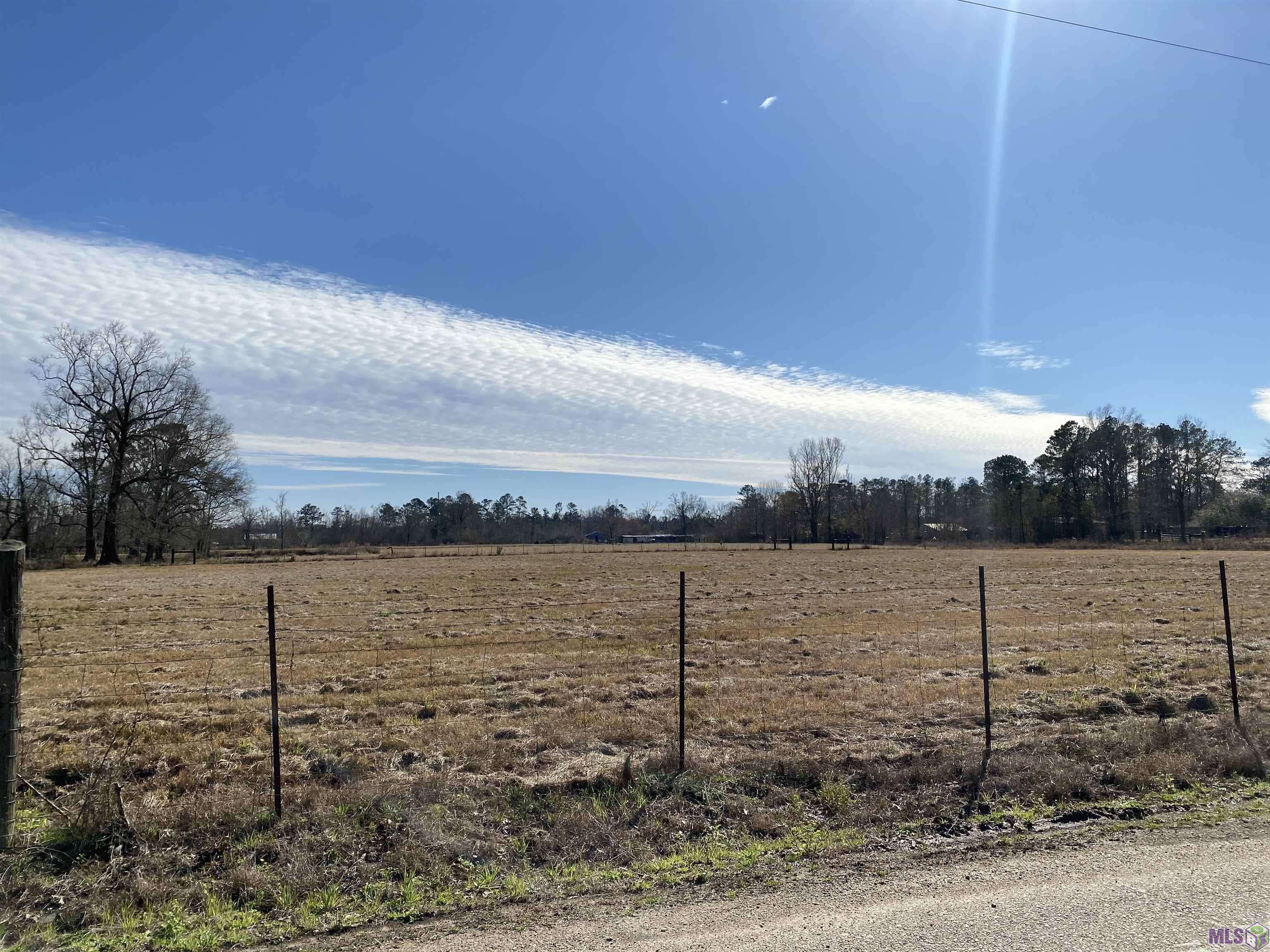 Holden, LA 70744,Tract A-3-B-1-G ONELLION RD