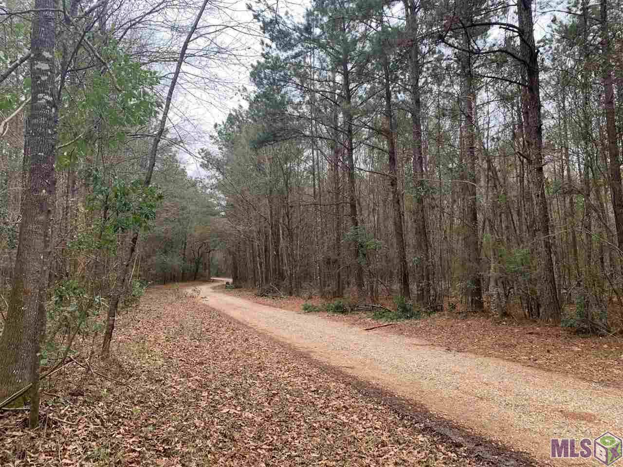 Denham Springs, LA 70706,Lot 49 BURKETT LN