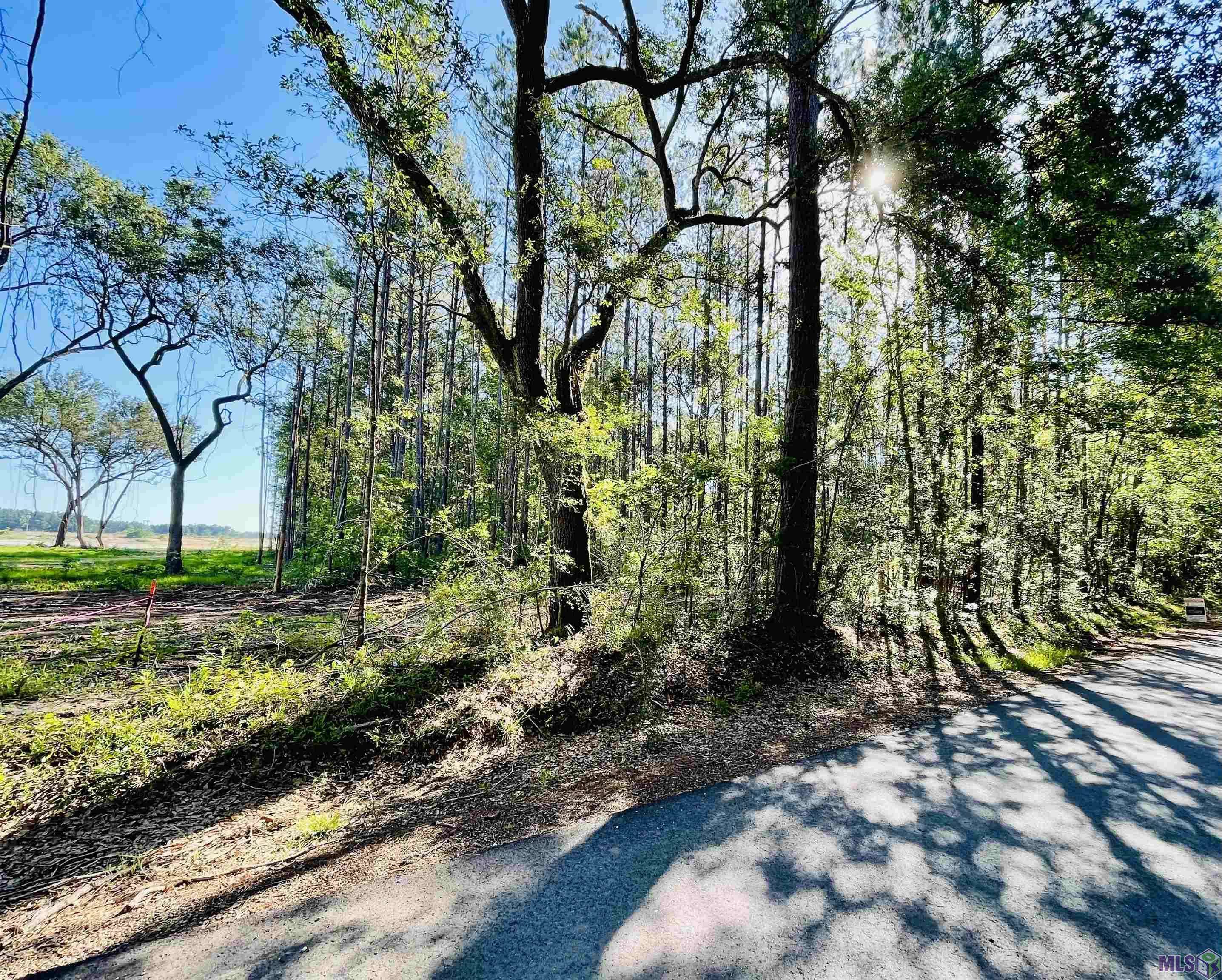 Denham Springs, LA 70706,Lot 27 NESOM RD